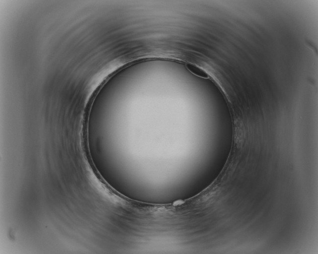 X0000103441139200809191718