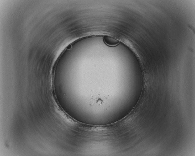 X0000103441140200809191718