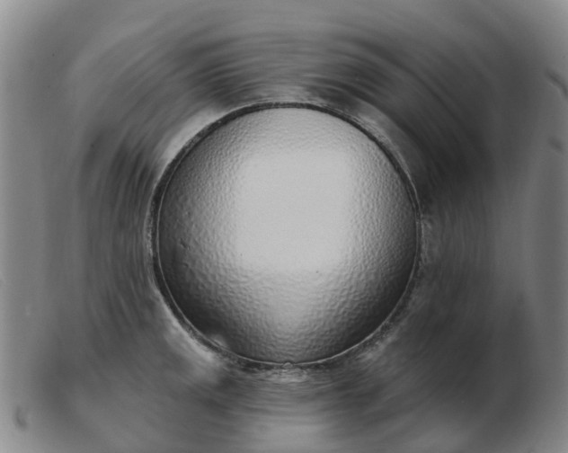 X0000103441141200809191718