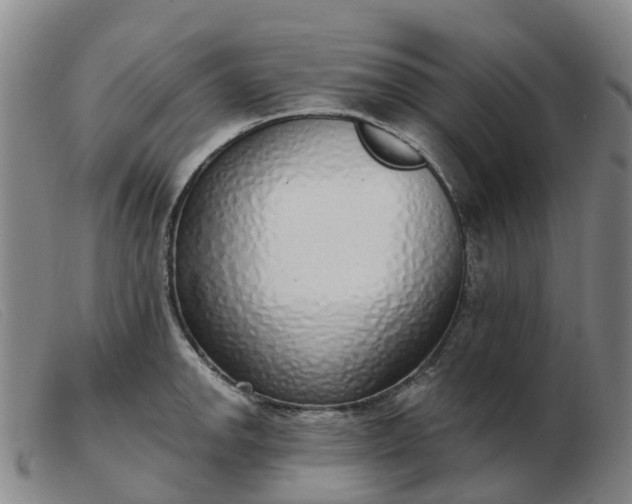 X0000103441142200809191718