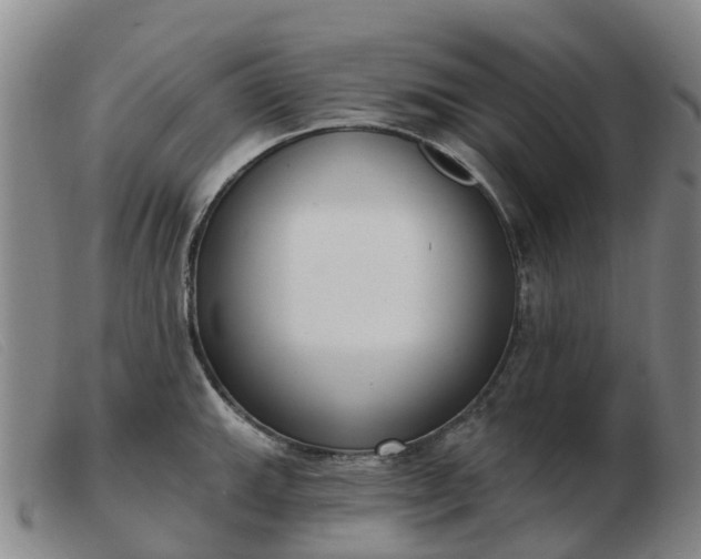 X0000103441143200809191718