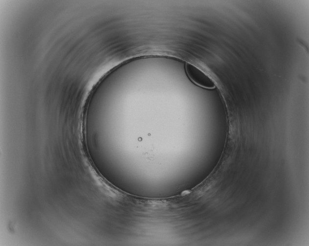 X0000103441144200809191718
