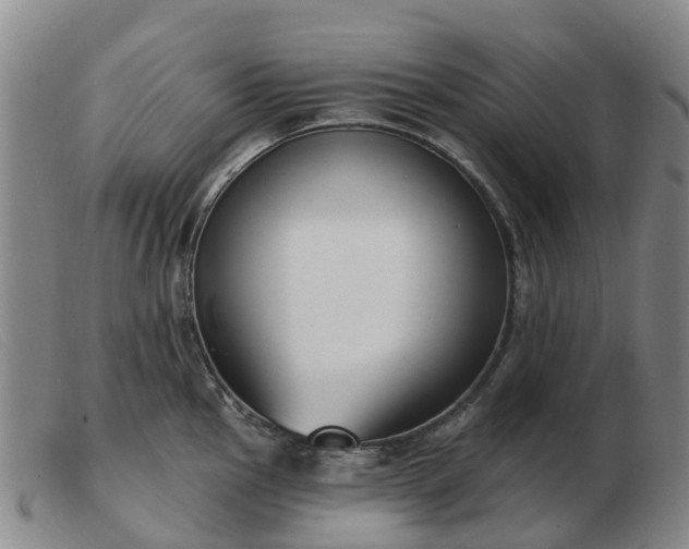 X0000103441145200809191718