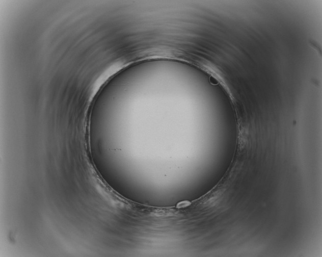 X0000103441146200809191718