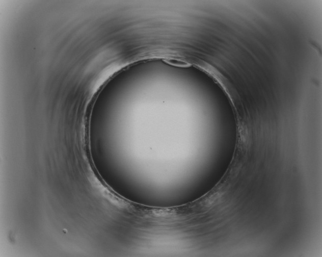 X0000103441147200809191718
