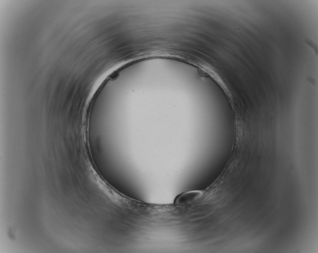X0000103441148200809191718