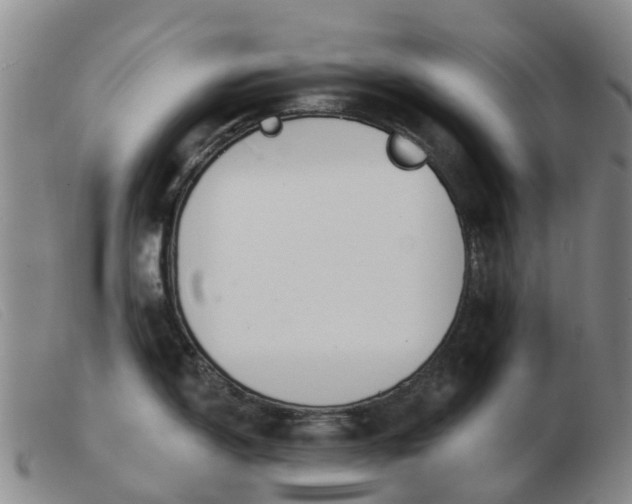 X0000103441150200809191718