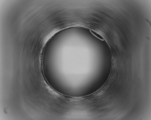X0000103441151200809191719