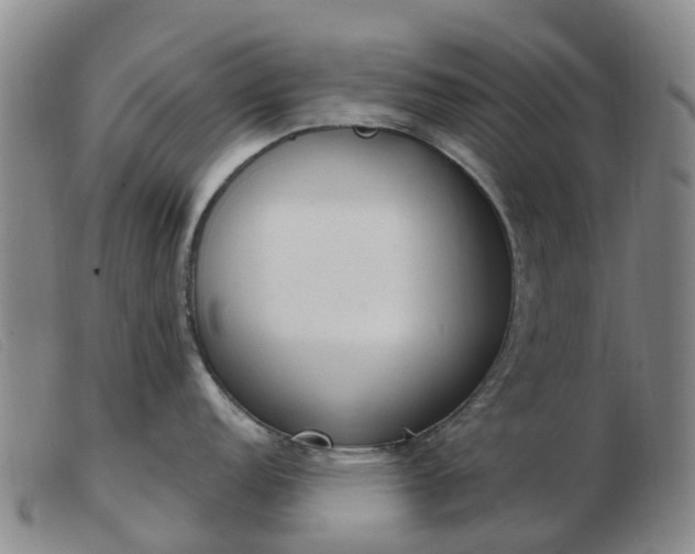 X0000103441152200809191719