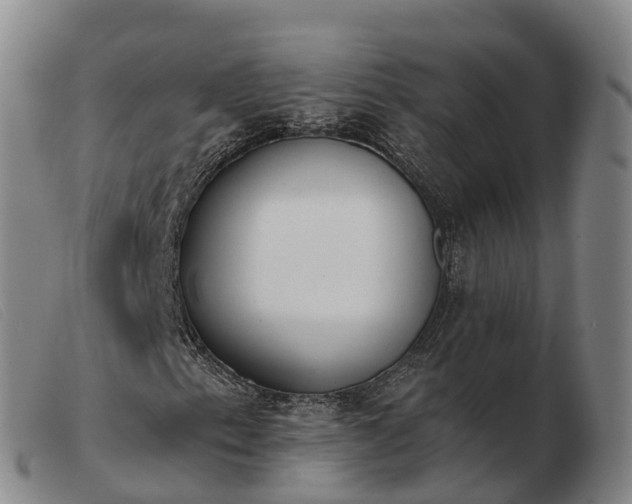 X0000103441153200809191718