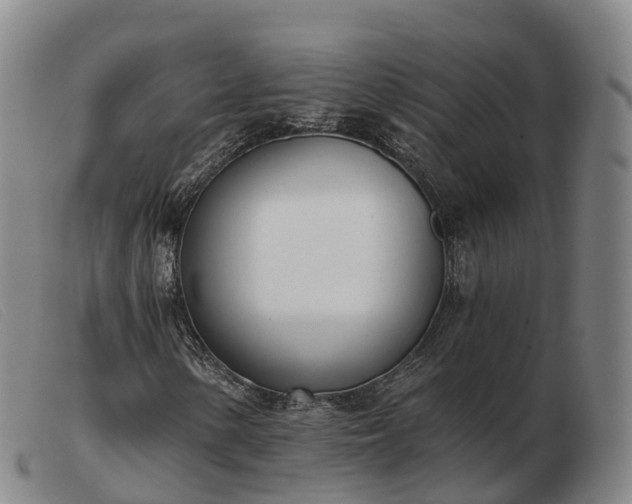 X0000103441154200809191718