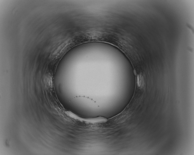 X0000103441155200809191718