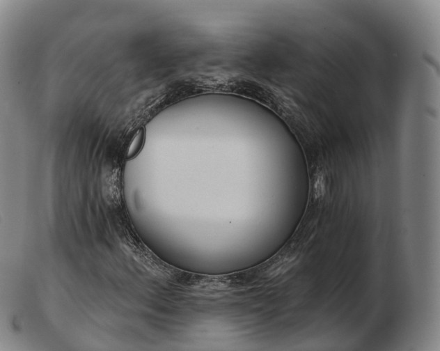 X0000103441156200809191718
