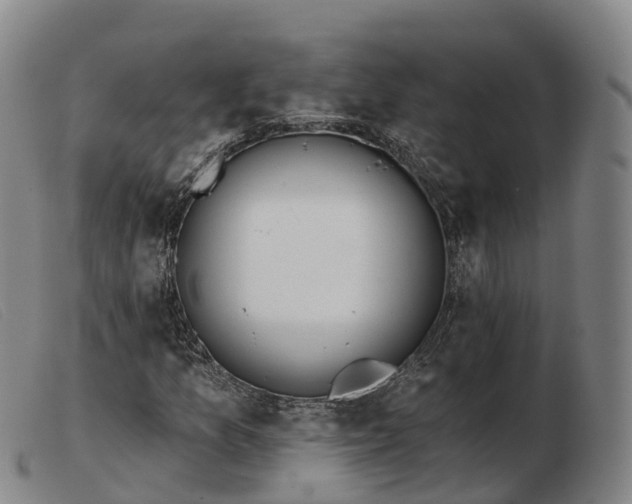 X0000103441157200809191718