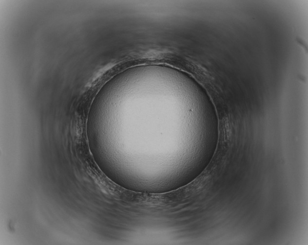 X0000103441158200809191718