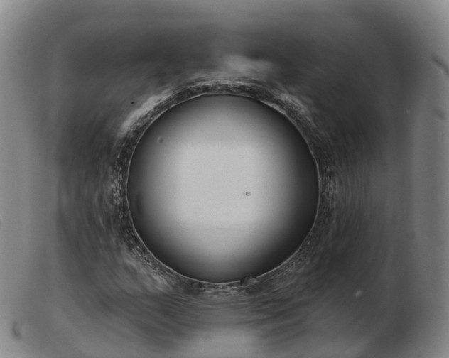 X0000103441159200809191718