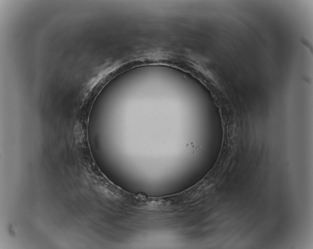 X0000103441160200809191718