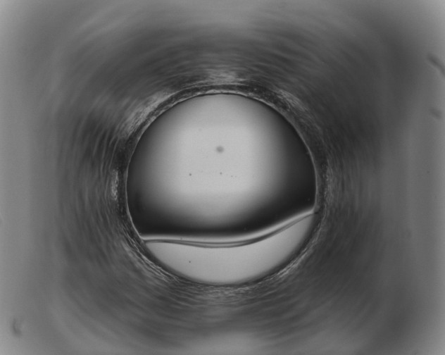 X0000103441161200809191718