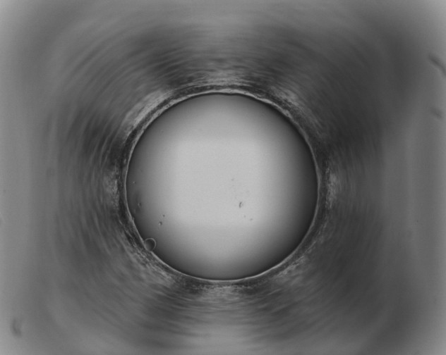 X0000103441162200809191718