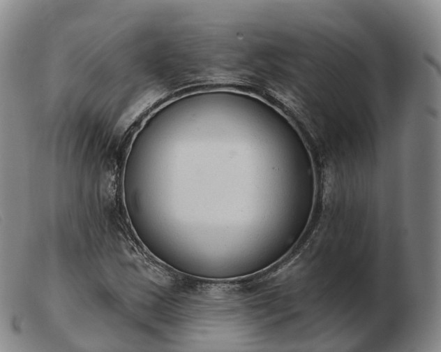 X0000103441163200809191718