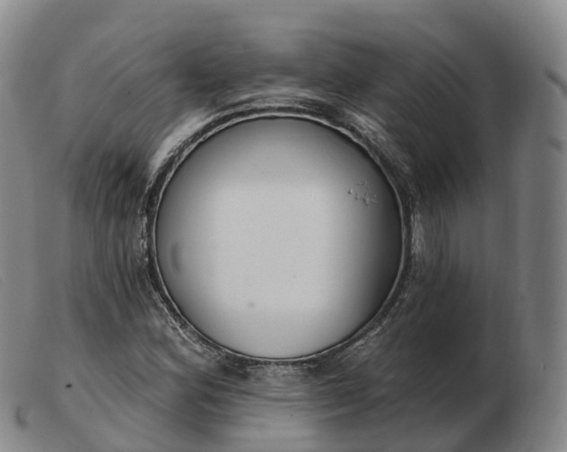 X0000103441164200809191718