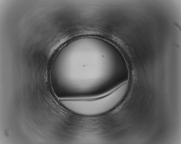 X0000103441165200809191718