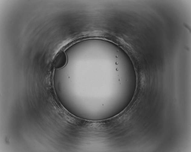 X0000103441166200809191718