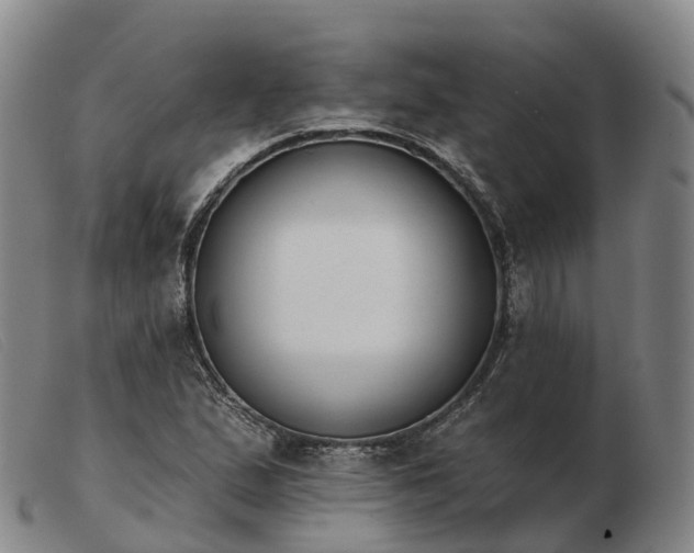 X0000103441167200809191717