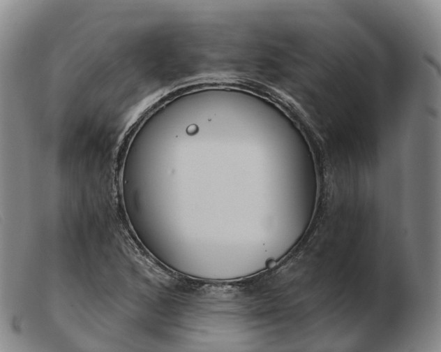 X0000103441168200809191717