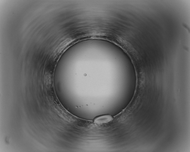 X0000103441169200809191717