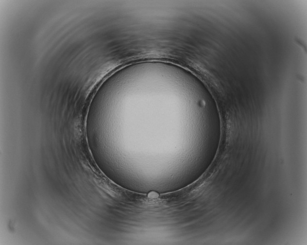 X0000103441170200809191717