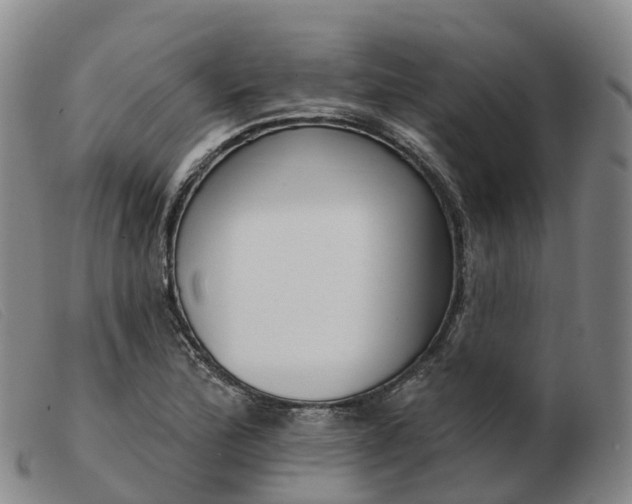 X0000103441172200809191717