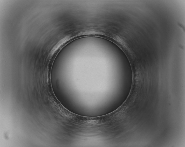 X0000103441173200809191717