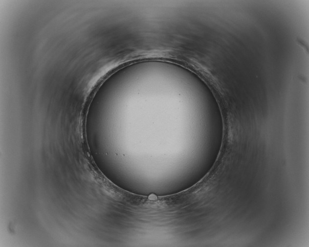 X0000103441174200809191717