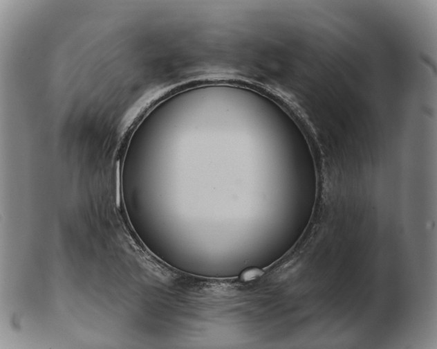 X0000103441175200809191717