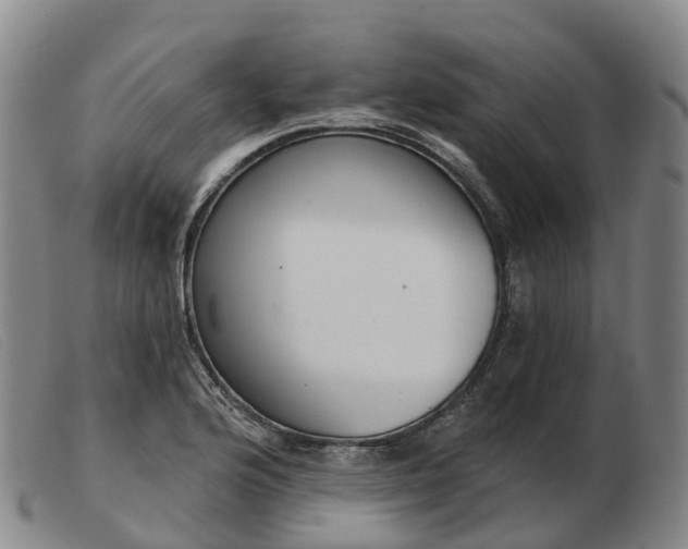 X0000103441176200809191717