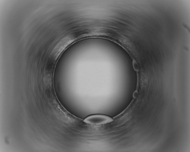 X0000103441177200809191717