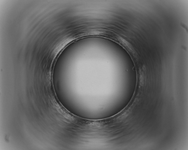 X0000103441178200809191717