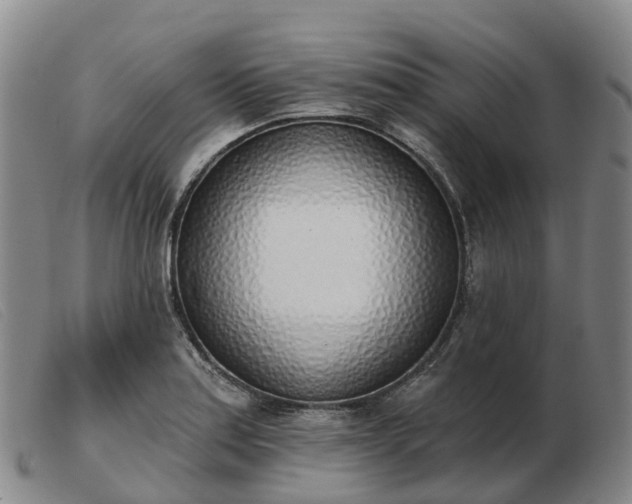 X0000103441179200809191717