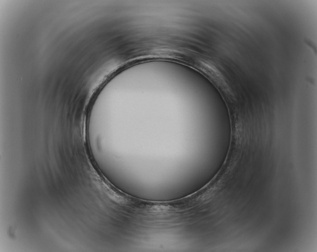 X0000103441180200809191717