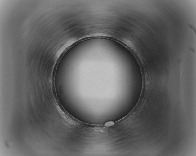 X0000103441181200809191717