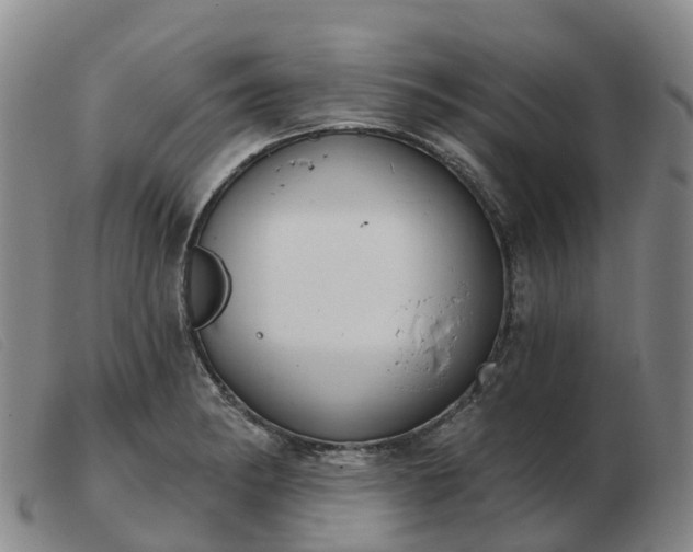 X0000103441182200809191717