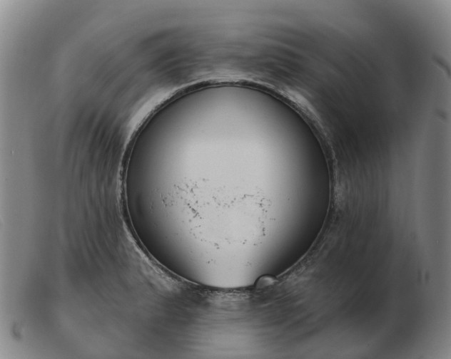 X0000103441183200809191717