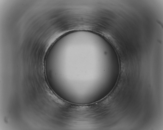 X0000103441184200809191717