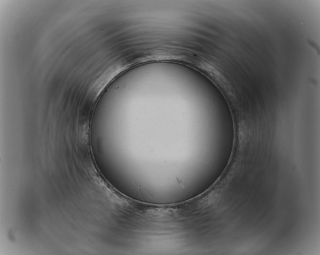 X0000103441185200809191717