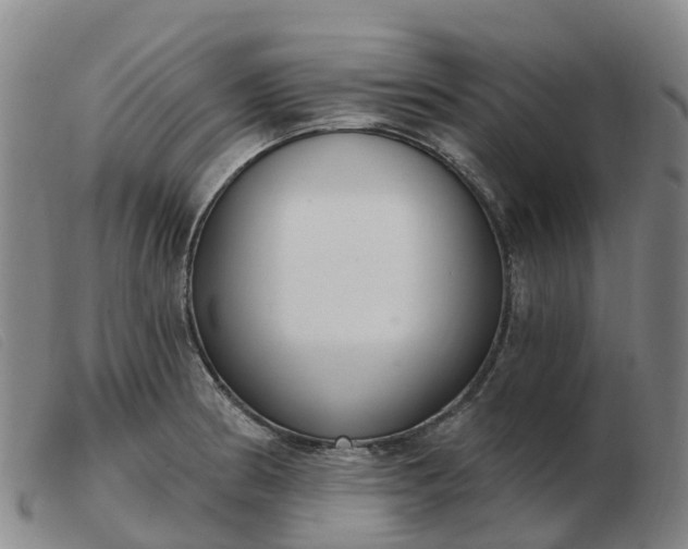 X0000103441186200809191717