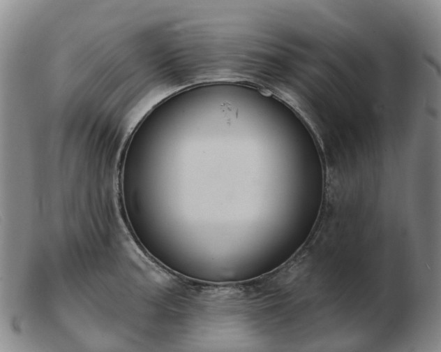X0000103441187200809191717