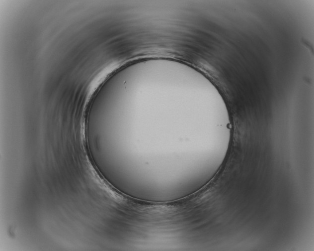 X0000103441188200809191717