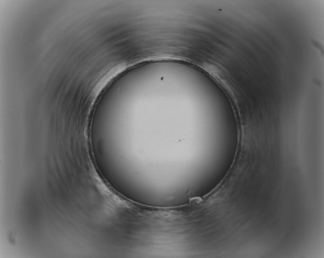 X0000103441189200809191717