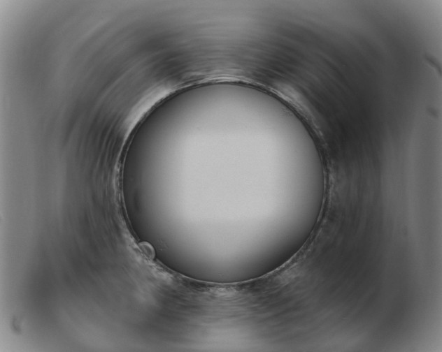 X0000103441190200809191717